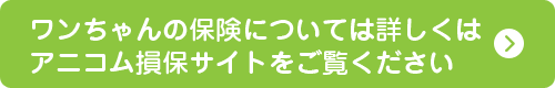 ワンちゃんの保険アニコム損保